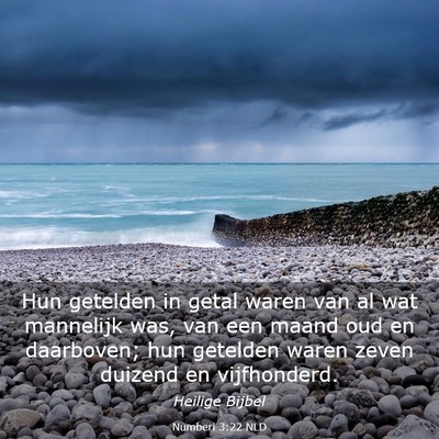 Picture 03 - Numberi 3:22 NLD - Hun getelden in getal waren van al wat mannelijk - Bible Verse Picture