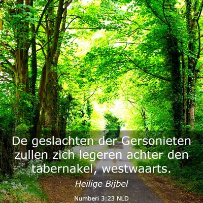 Picture 03 - Numberi 3:23 NLD - De geslachten der Gersonieten zullen zich legeren - Bible Verse Picture