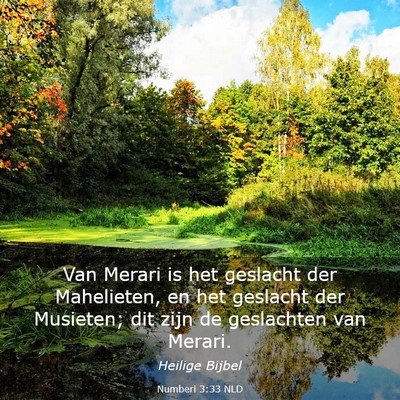 Picture 03 - Numberi 3:33 NLD - Van Merari is het geslacht der Mahelieten, en het - Bible Verse Picture