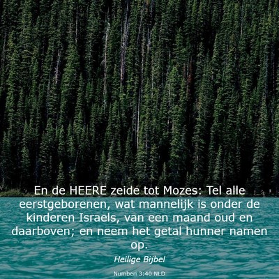 Picture 03 - Numberi 3:40 NLD - En de HEERE zeide tot Mozes: Tel alle - Bible Verse Picture