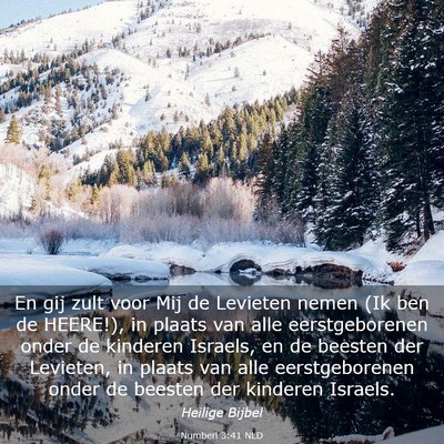 Picture 03 - Numberi 3:41 NLD - En gij zult voor Mij de Levieten nemen (Ik ben de - Bible Verse Picture