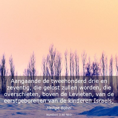Picture 03 - Numberi 3:46 NLD - Aangaande de tweehonderd drie en zeventig, die - Bible Verse Picture