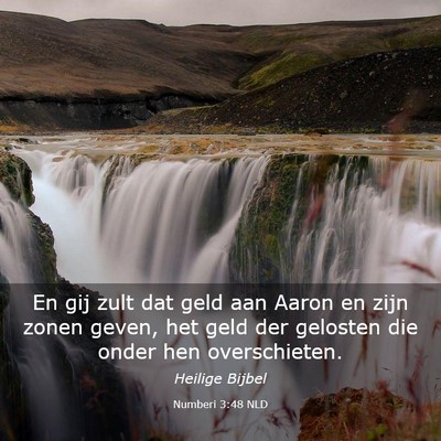 Picture 03 - Numberi 3:48 NLD - En gij zult dat geld aan Aaron en zijn zonen - Bible Verse Picture