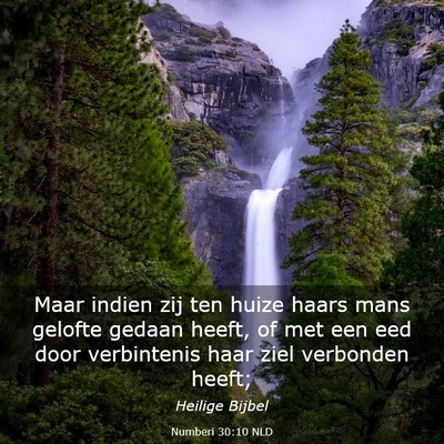 Picture 03 - Numberi 30:10 NLD - Maar indien zij ten huize haars mans gelofte - Bible Verse Picture