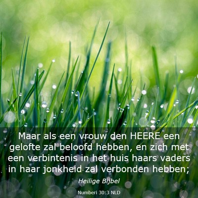 Picture 03 - Numberi 30:3 NLD - Maar als een vrouw den HEERE een gelofte zal - Bible Verse Picture