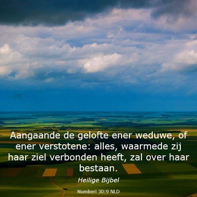 Picture 03 - Numberi 30:9 NLD - Aangaande de gelofte ener weduwe, of ener - Bible Verse Picture