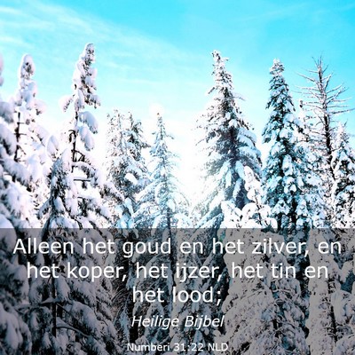 Picture 03 - Numberi 31:22 NLD - Alleen het goud en het zilver, en het koper, het - Bible Verse Picture
