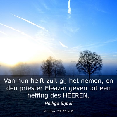 Picture 03 - Numberi 31:29 NLD - Van hun helft zult gij het nemen, en den priester - Bible Verse Picture