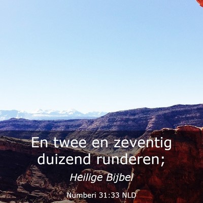 Picture 03 - Numberi 31:33 NLD - En twee en zeventig duizend - Bible Verse Picture