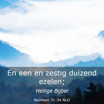Picture 03 - Numberi 31:34 NLD - En een en zestig duizend - Bible Verse Picture