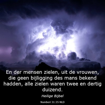 Picture 03 - Numberi 31:35 NLD - En der mensen zielen, uit de vrouwen, die geen - Bible Verse Picture