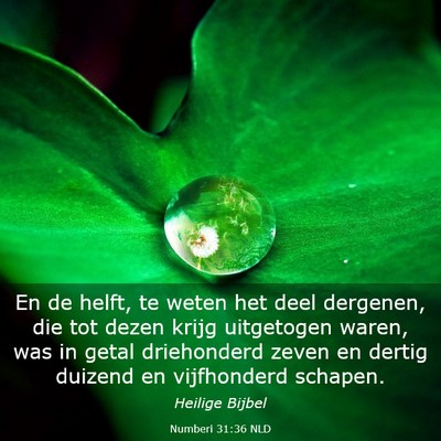 Picture 03 - Numberi 31:36 NLD - En de helft, te weten het deel dergenen, die tot - Bible Verse Picture