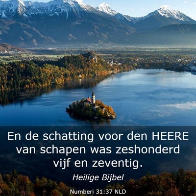 Picture 03 - Numberi 31:37 NLD - En de schatting voor den HEERE van schapen was - Bible Verse Picture