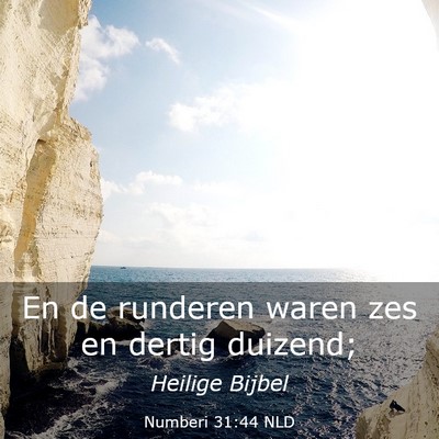 Picture 03 - Numberi 31:44 NLD - En de runderen waren zes en dertig - Bible Verse Picture