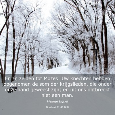 Picture 03 - Numberi 31:49 NLD - En zij zeiden tot Mozes: Uw knechten hebben - Bible Verse Picture