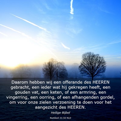 Picture 03 - Numberi 31:50 NLD - Daarom hebben wij een offerande des HEEREN - Bible Verse Picture