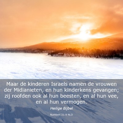 Picture 03 - Numberi 31:9 NLD - Maar de kinderen Israels namen de vrouwen der - Bible Verse Picture