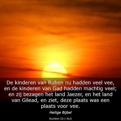 Picture 03 - Numberi 32:1 NLD - De kinderen van Ruben nu hadden veel vee, en de - Bible Verse Picture