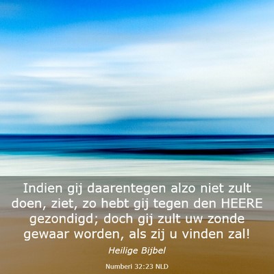 Picture 03 - Numberi 32:23 NLD - Indien gij daarentegen alzo niet zult doen, ziet, - Bible Verse Picture