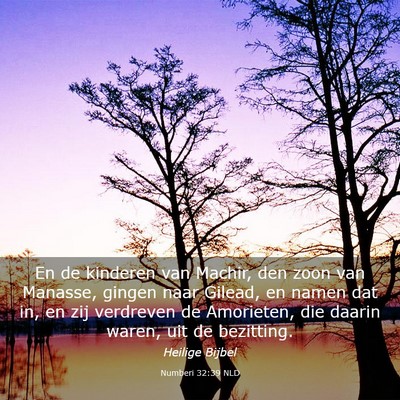 Picture 03 - Numberi 32:39 NLD - En de kinderen van Machir, den zoon van Manasse, - Bible Verse Picture