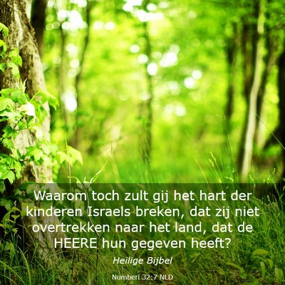 Picture 03 - Numberi 32:7 NLD - Waarom toch zult gij het hart der kinderen - Bible Verse Picture