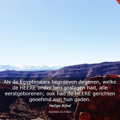 Picture 03 - Numberi 33:4 NLD - Als de Egyptenaars begroeven degenen, welke de - Bible Verse Picture