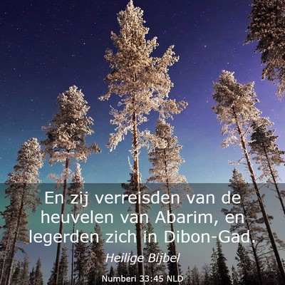 Picture 03 - Numberi 33:45 NLD - En zij verreisden van de heuvelen van Abarim, en - Bible Verse Picture