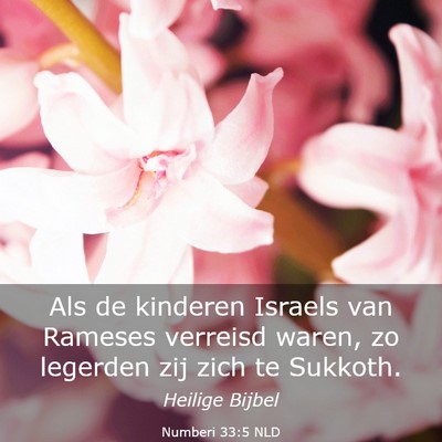 Picture 03 - Numberi 33:5 NLD - Als de kinderen Israels van Rameses verreisd - Bible Verse Picture