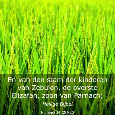 Picture 03 - Numberi 34:25 NLD - En van den stam der kinderen van Zebulon, de - Bible Verse Picture