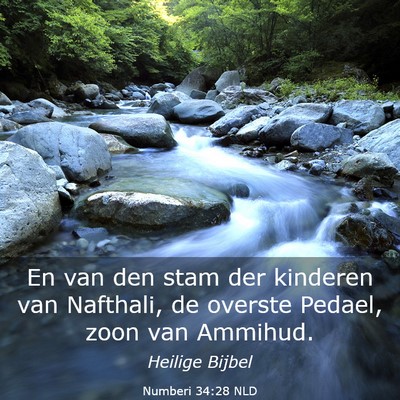 Picture 03 - Numberi 34:28 NLD - En van den stam der kinderen van Nafthali, de - Bible Verse Picture