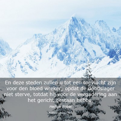 Picture 03 - Numberi 35:12 NLD - En deze steden zullen u tot een toevlucht zijn - Bible Verse Picture
