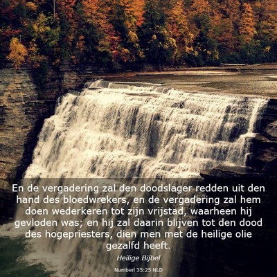 Picture 03 - Numberi 35:25 NLD - En de vergadering zal den doodslager redden uit - Bible Verse Picture