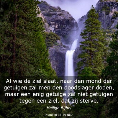 Picture 03 - Numberi 35:30 NLD - Al wie de ziel slaat, naar den mond der getuigen - Bible Verse Picture