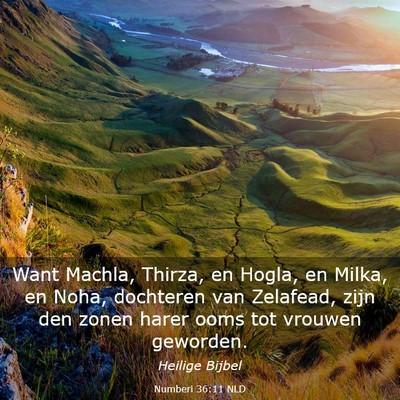 Picture 03 - Numberi 36:11 NLD - Want Machla, Thirza, en Hogla, en Milka, en Noha, - Bible Verse Picture