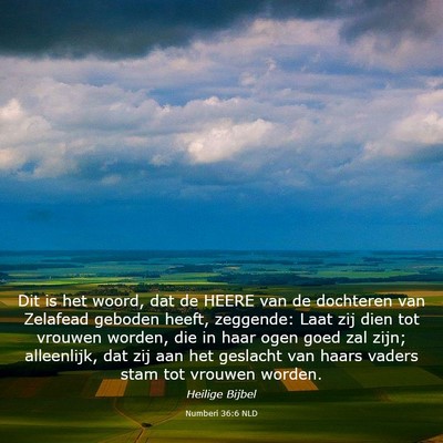 Picture 03 - Numberi 36:6 NLD - Dit is het woord, dat de HEERE van de dochteren - Bible Verse Picture