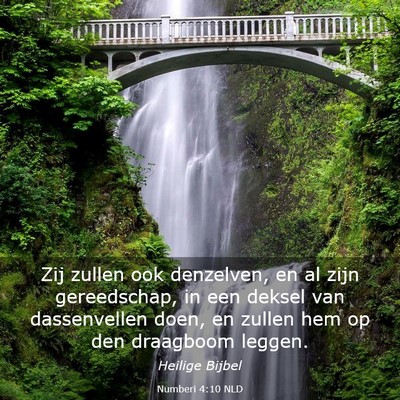 Picture 03 - Numberi 4:10 NLD - Zij zullen ook denzelven, en al zijn gereedschap, - Bible Verse Picture