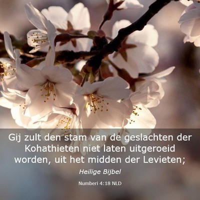 Picture 03 - Numberi 4:18 NLD - Gij zult den stam van de geslachten der - Bible Verse Picture