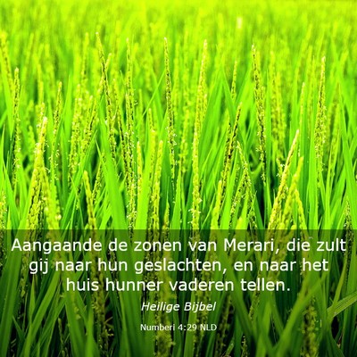 Picture 03 - Numberi 4:29 NLD - Aangaande de zonen van Merari, die zult gij naar - Bible Verse Picture