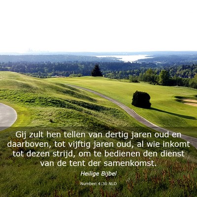 Picture 03 - Numberi 4:30 NLD - Gij zult hen tellen van dertig jaren oud en - Bible Verse Picture