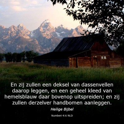 Picture 03 - Numberi 4:6 NLD - En zij zullen een deksel van dassenvellen daarop - Bible Verse Picture
