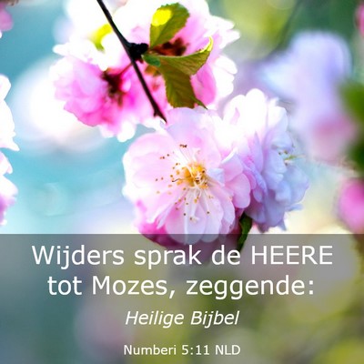 Picture 03 - Numberi 5:11 NLD - Wijders sprak de HEERE tot Mozes, - Bible Verse Picture