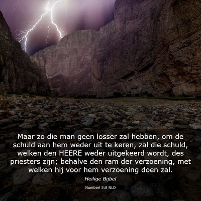 Picture 03 - Numberi 5:8 NLD - Maar zo die man geen losser zal hebben, om de - Bible Verse Picture