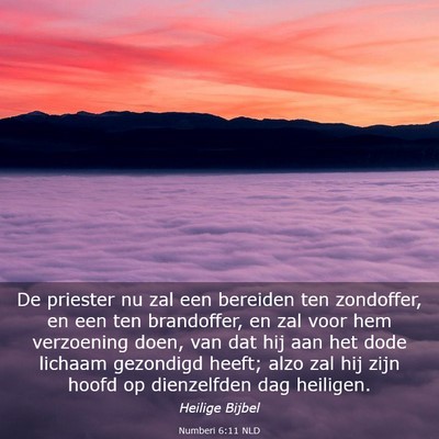 Picture 03 - Numberi 6:11 NLD - De priester nu zal een bereiden ten zondoffer, en - Bible Verse Picture