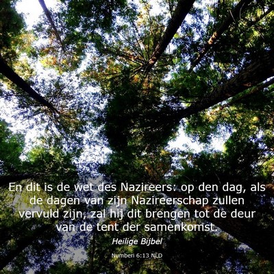 Picture 03 - Numberi 6:13 NLD - En dit is de wet des Nazireers: op den dag, als - Bible Verse Picture