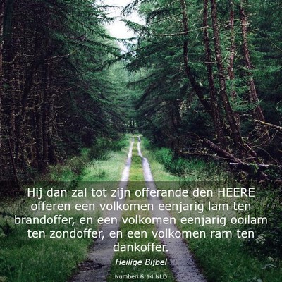 Picture 03 - Numberi 6:14 NLD - Hij dan zal tot zijn offerande den HEERE offeren - Bible Verse Picture