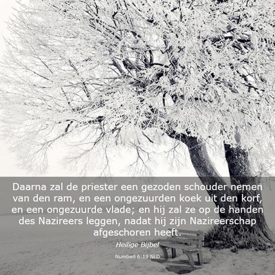 Picture 03 - Numberi 6:19 NLD - Daarna zal de priester een gezoden schouder nemen - Bible Verse Picture