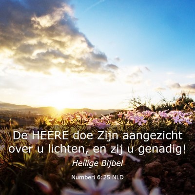 Picture 03 - Numberi 6:25 NLD - De HEERE doe Zijn aangezicht over u lichten, en - Bible Verse Picture