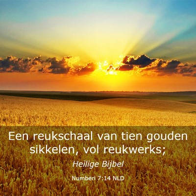 Picture 03 - Numberi 7:14 NLD - Een reukschaal van tien gouden sikkelen, vol - Bible Verse Picture