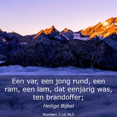 Picture 03 - Numberi 7:15 NLD - Een var, een jong rund, een ram, een lam, dat - Bible Verse Picture