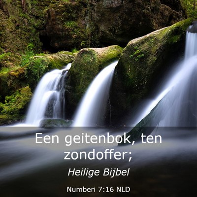 Picture 03 - Numberi 7:16 NLD - Een geitenbok, ten - Bible Verse Picture